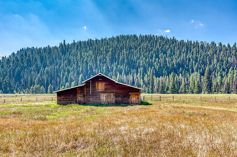 Affordable, One Of A Kind Montana Ranch Is For Sale. Check It Out