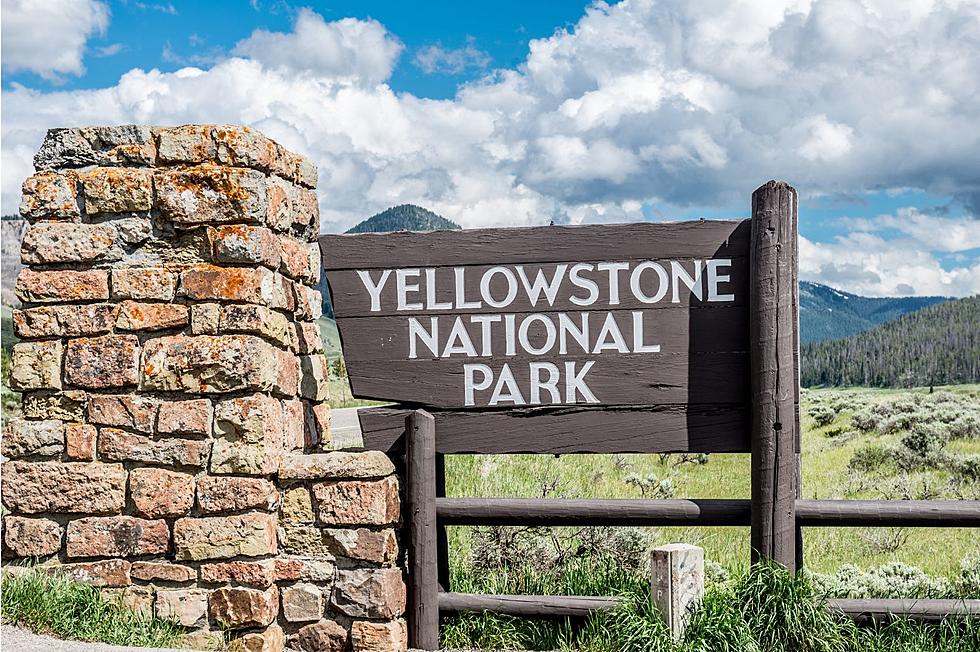 7 Cool Photos From Montana&#8217;s Yellowstone National Park 2023