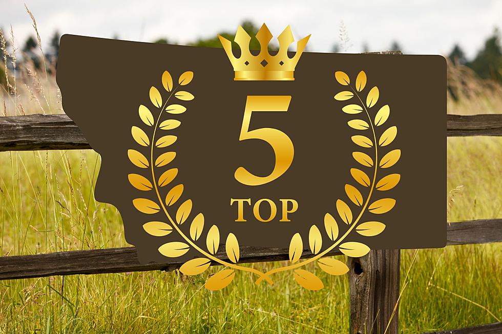 Who Are Montana’s Largest Private Landowners? Here’s The Top 5.