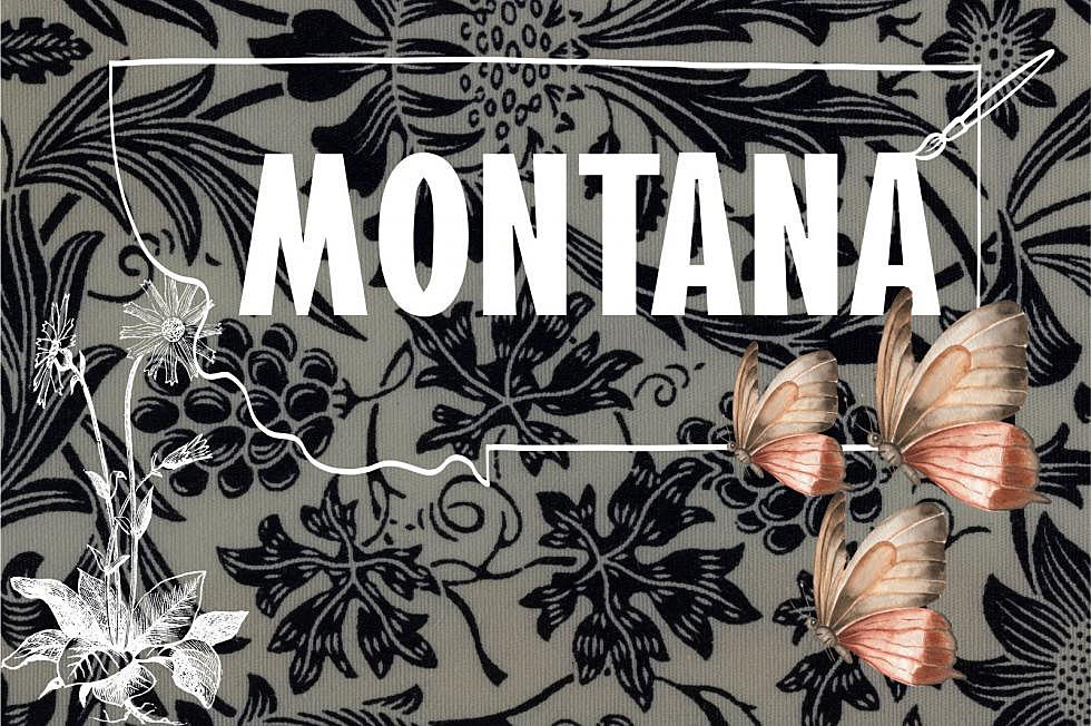 Montana Made Products You Will Love