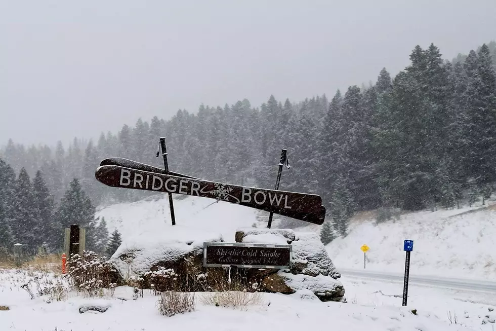 A Landslide Just Redrew The Map At Bridger Bowl