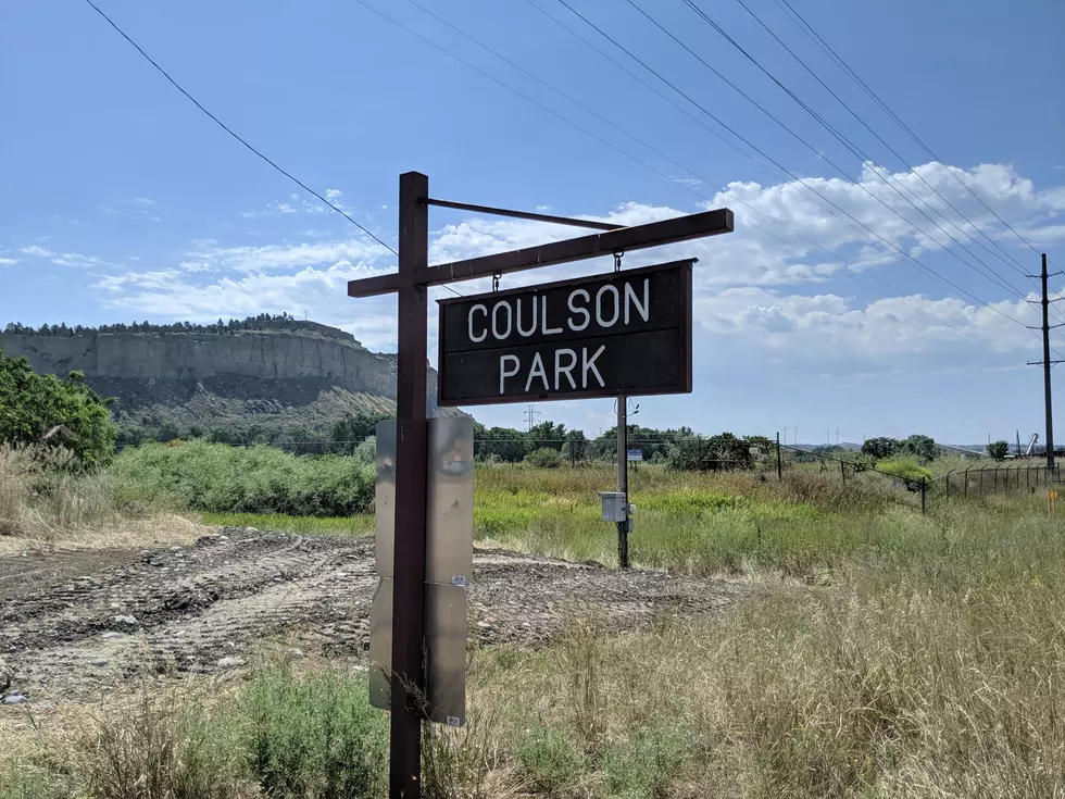 Big Plans for Coulson Park!