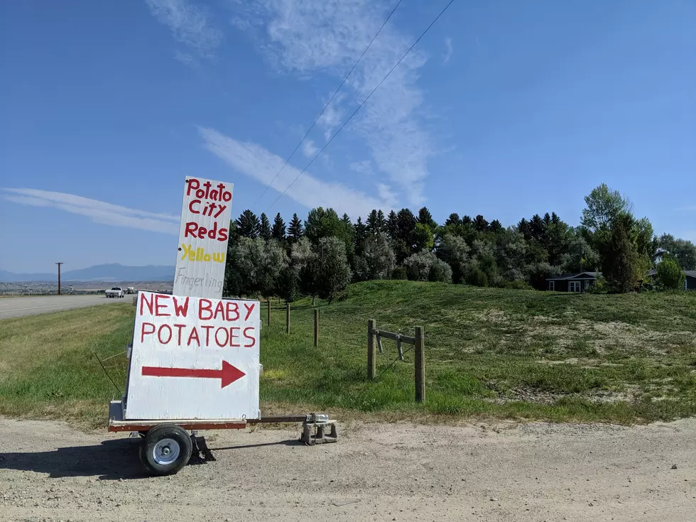 Roadside Stands in Montana