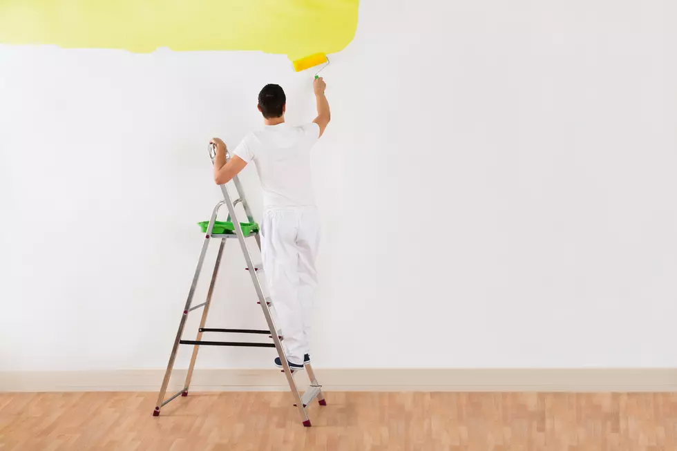 Win a Professional Painter for a Day