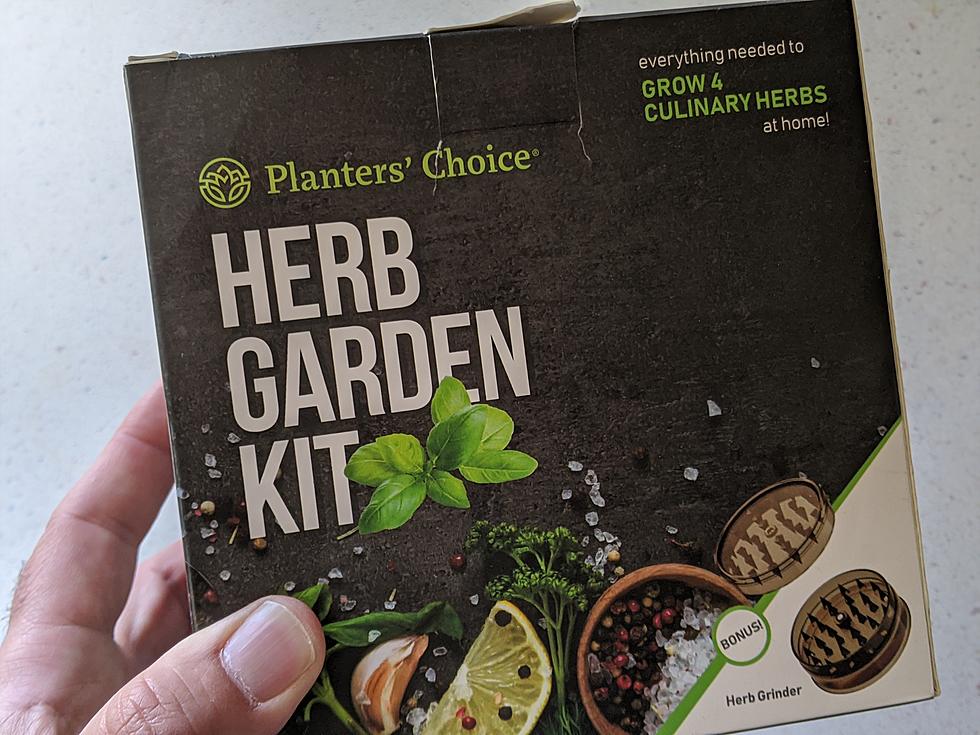 Grow Your Own Herb Kit – Step By Step Pics