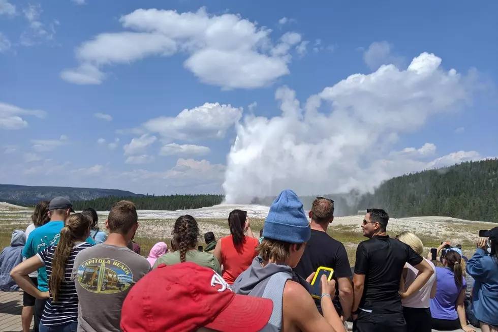 It's Local's Time at Yellowstone - Here are Dates to Remember