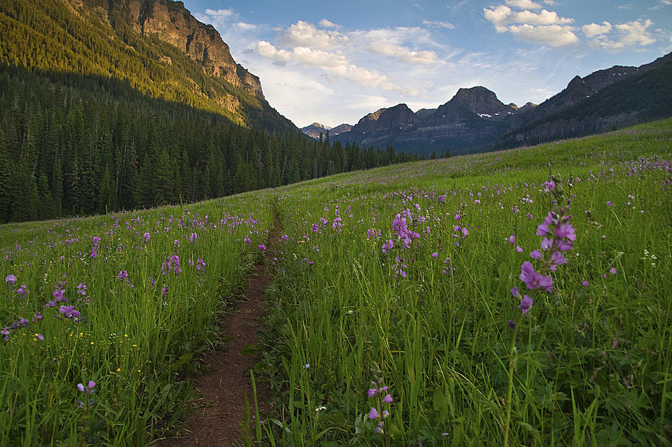 5 Lucky Things You'll Find in Montana