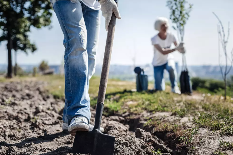 Before You Dig this Spring in Montana: Call 811