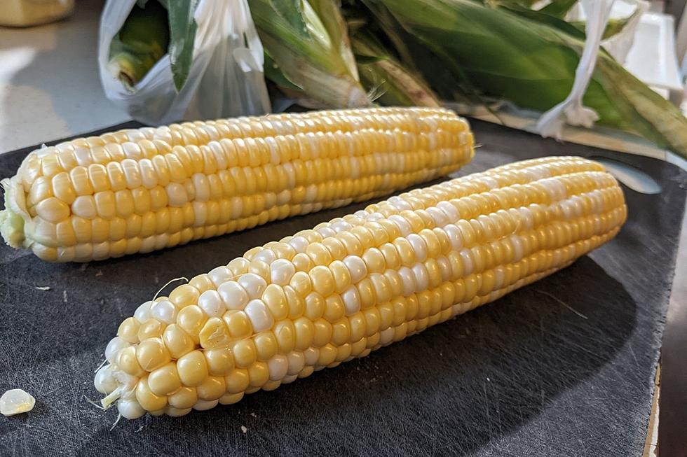 5 Ways to Prepare Montana Sweet Corn You Have to Try