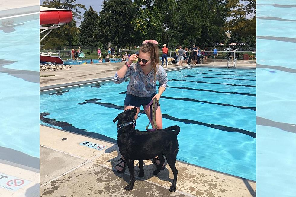Annual Dog Day at Billings’ Rose Park Pool is Sunday (8/22)