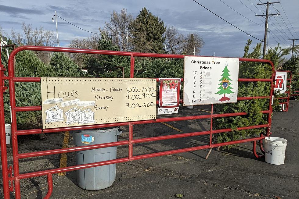 Buy a Real Tree and Help Billings Charities at Local Tree Lots