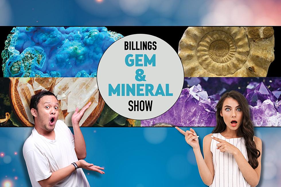 Gem & Minerals Show Brightening Your Day This August In Billings