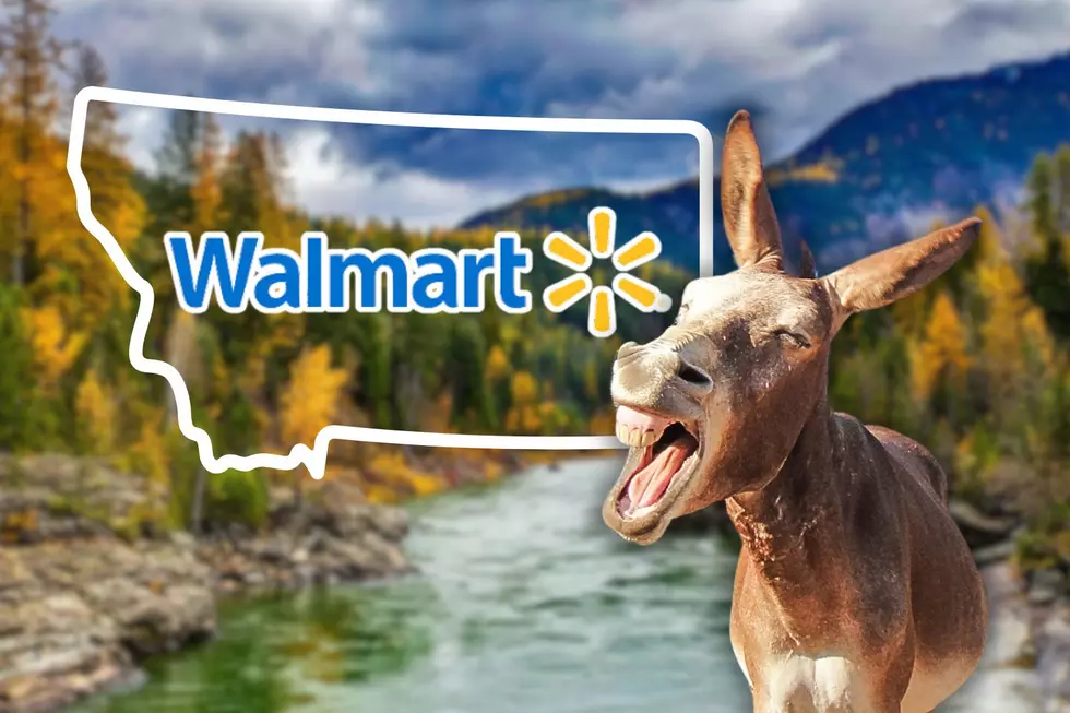 20 Hilarious Montana Walmart Reviews