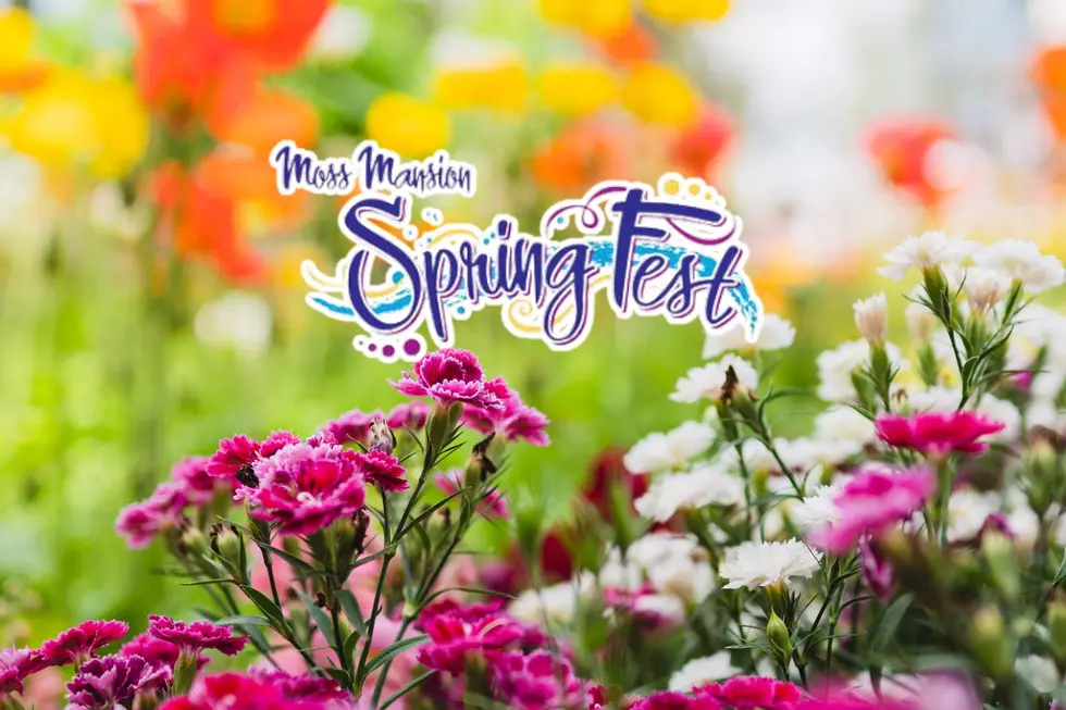 SpringFest Returns At The Moss Mansion This June