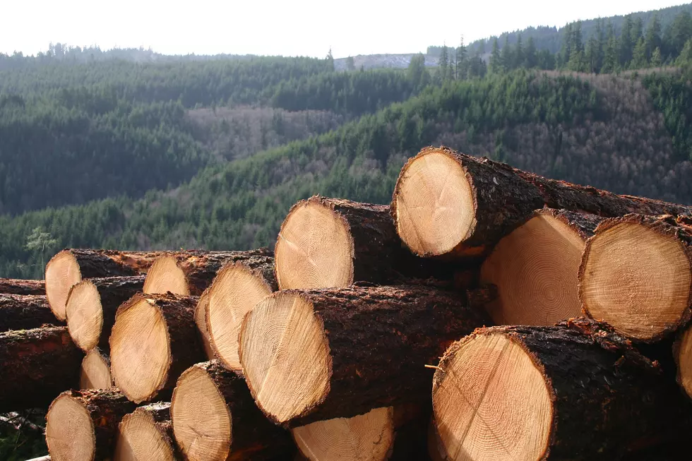 AUDIO: Pro Timber Bill Signed by Governor