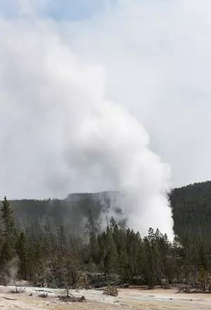 Yellowstone Geyser Comes to Life