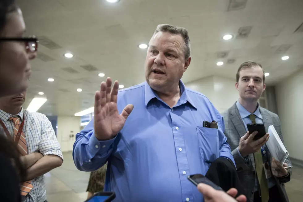 Tester on Trump: “Punch Him in the Face”