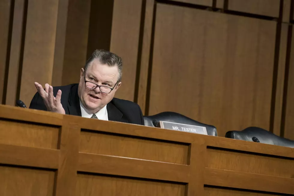Punch Line: Tester Makes Impeachment Highlight Reel Too