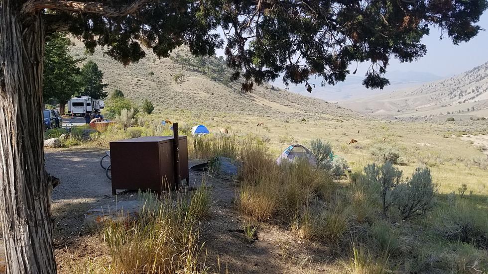 Tips for Finding a Last Minute Campsite in Yellowstone, Glacier