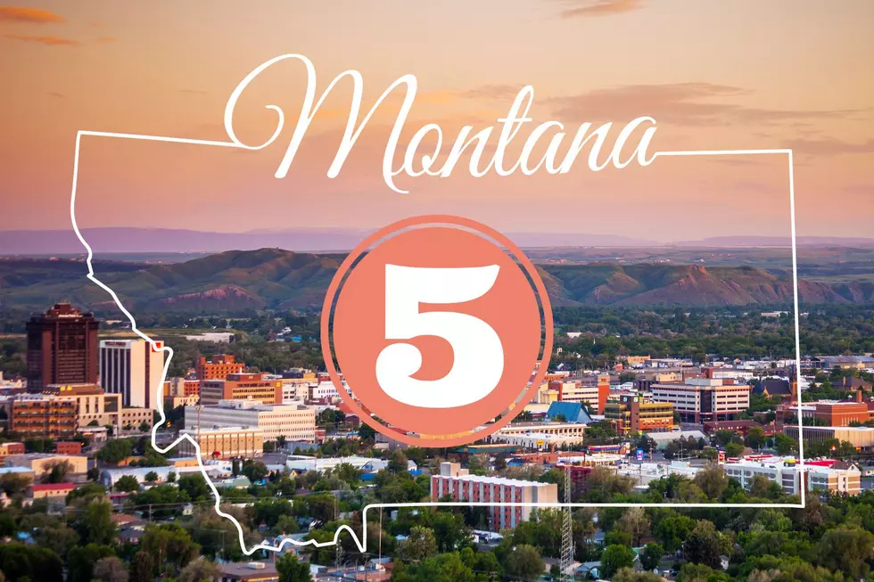 A Few Reasons Why You Should Move to Billings Montana