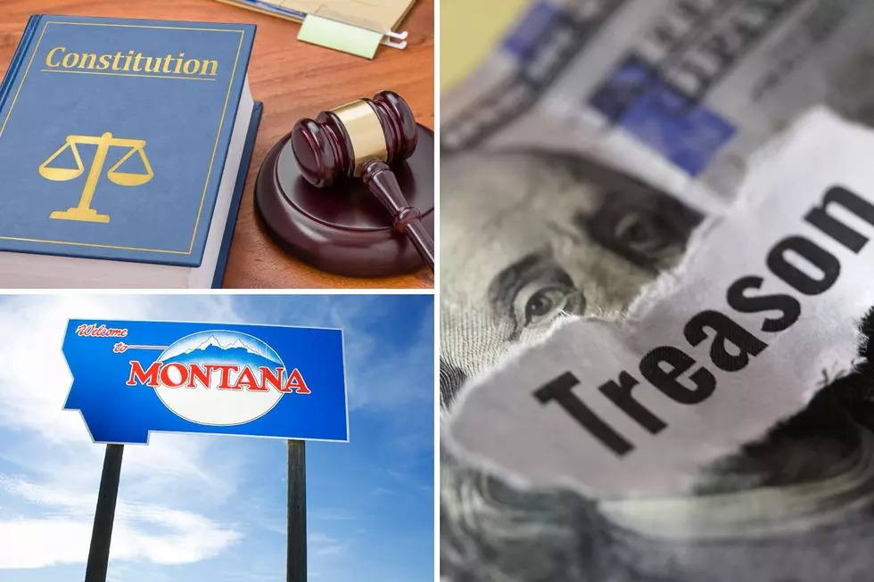 Montana Constitution: Treason and War