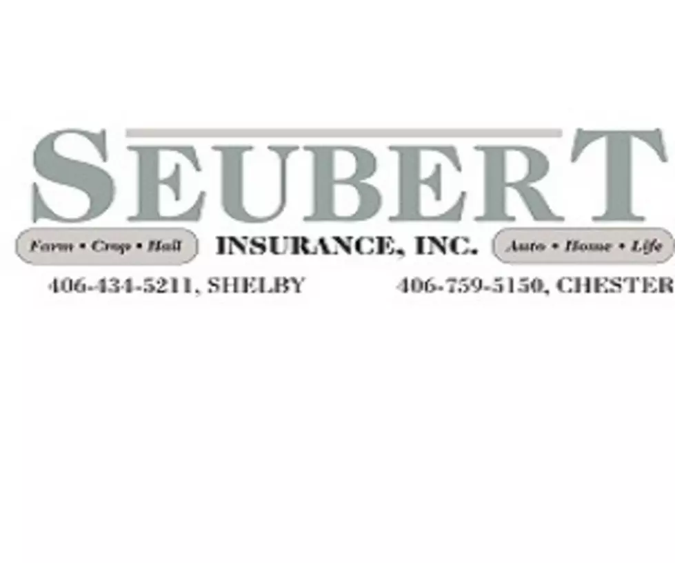 Business of the Day – Seubert Insurance