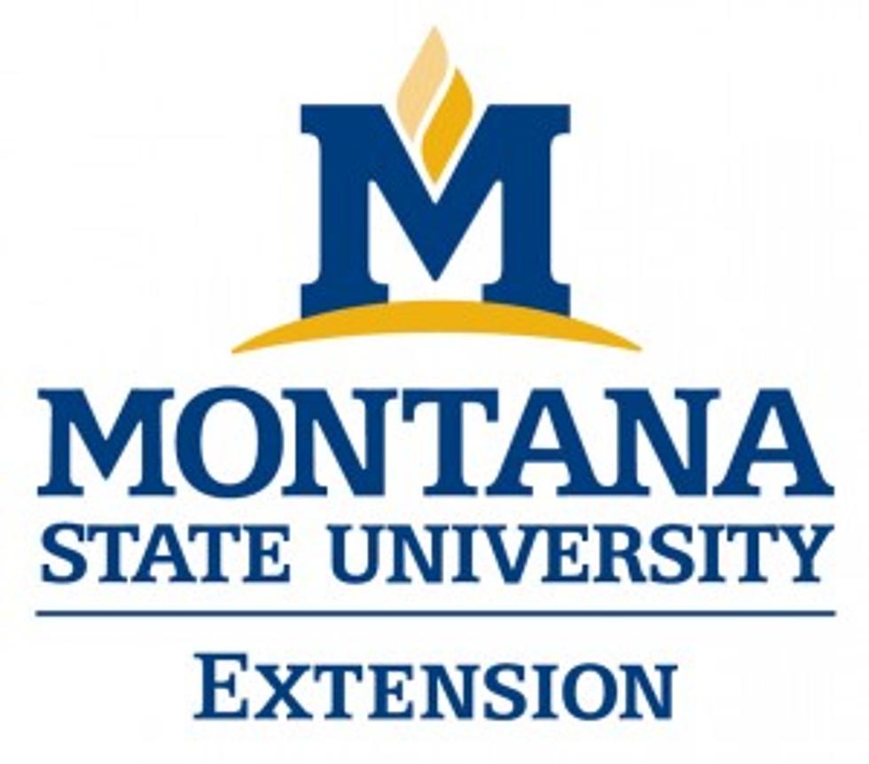MSU Extension: Knees Area Field Day Scheduled for June 8th