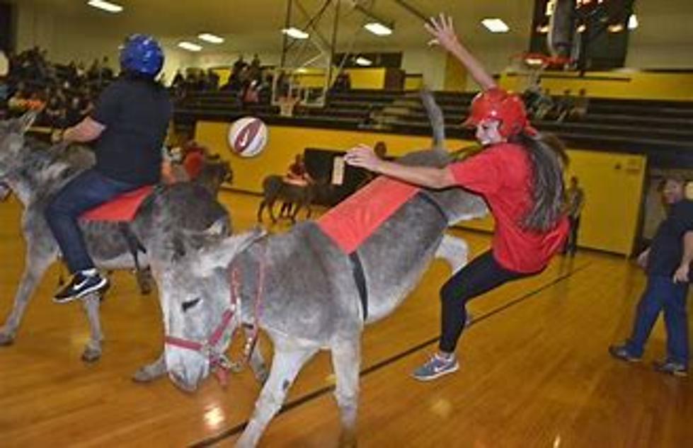 Donkey Basketball Comes To Conrad