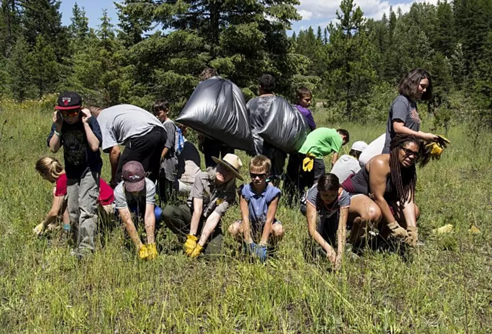 Glacier National Park &#8211; Recruiting &#8220;Weed Warriors&#8221; for Its Next Bio Blitz