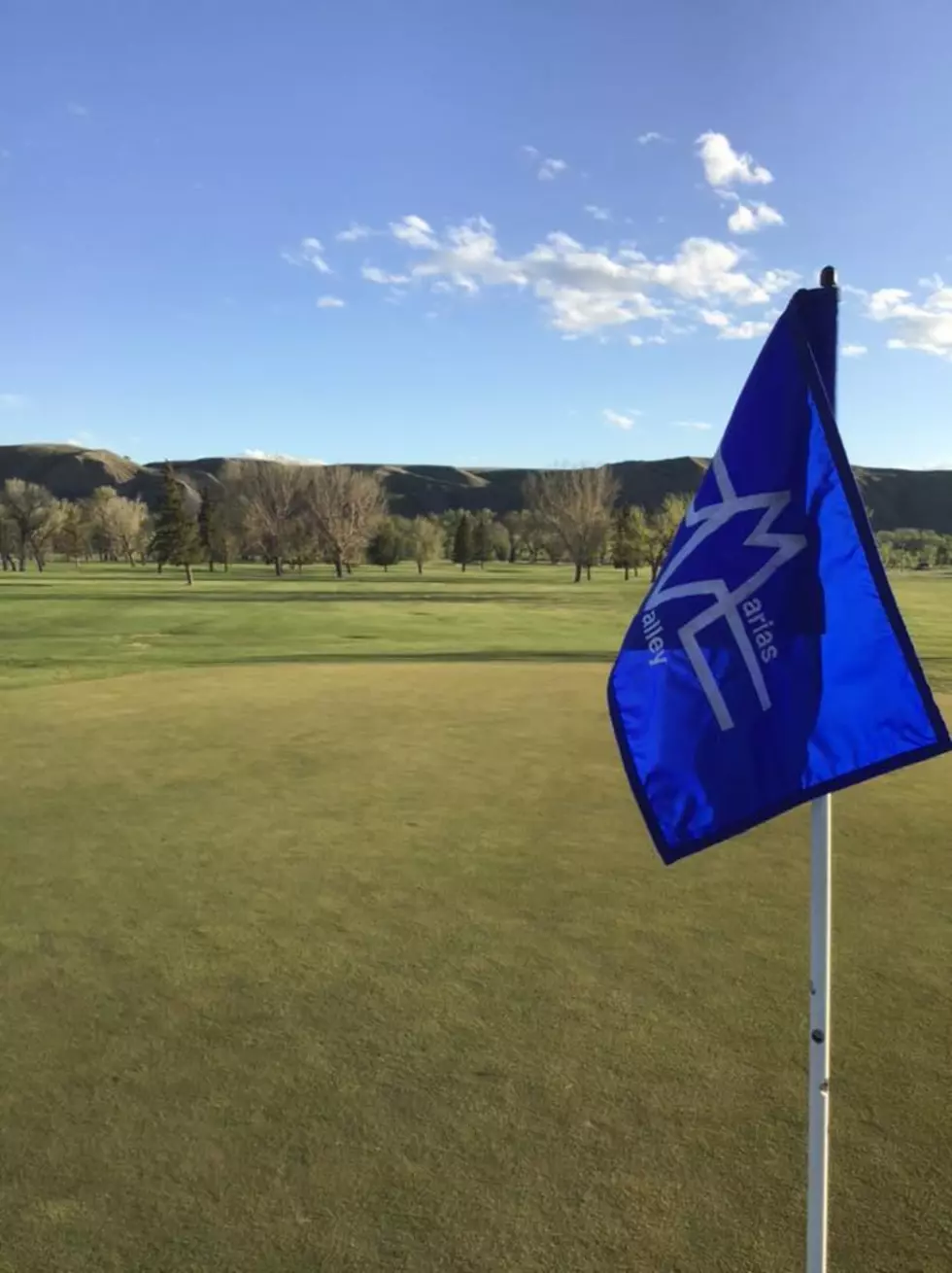 Farm and Ranch Golf Results