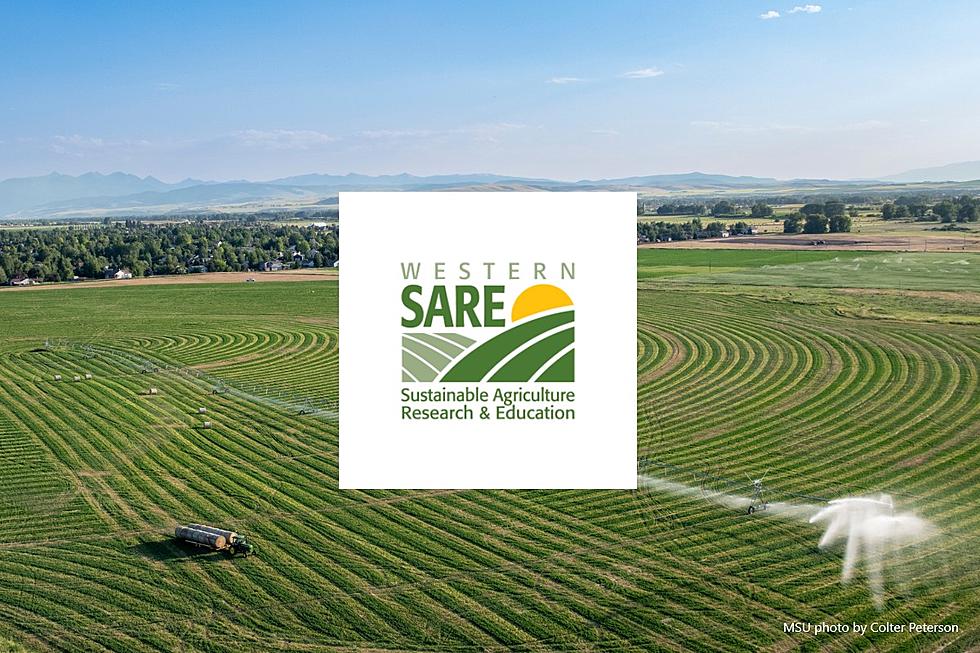 MSU Continues As Host Institution of Western Sustainable Agriculture Research and Education Program