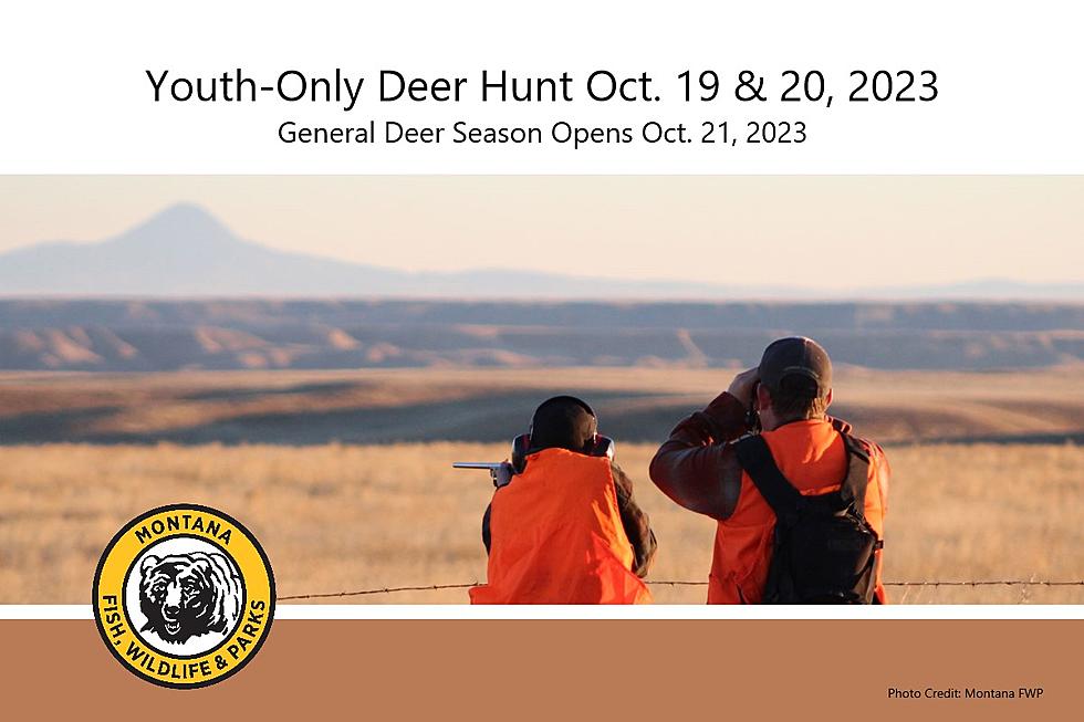 FWP: Young Hunters Can Apply Now for Apprentice Program