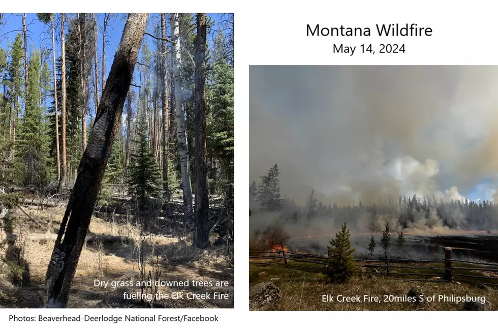 So it Begins… Montana’s 1st Wildfire of 2024 Summer Reported South of Philipsburg