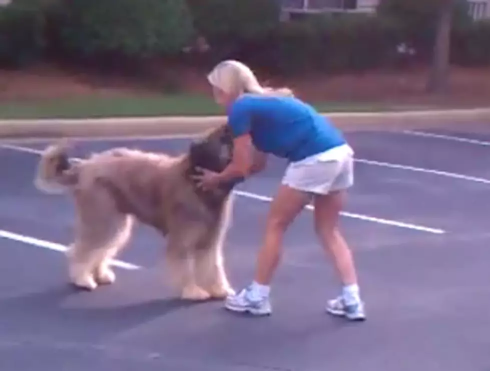 The Most Amazing Dog Tricks Ever [VIDEO]