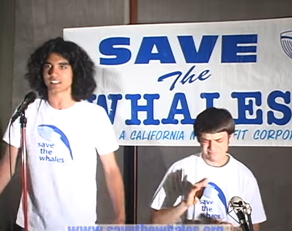 The ‘Whale Rap’ Is The Greatest Horrible Thing You’ll See All Day
