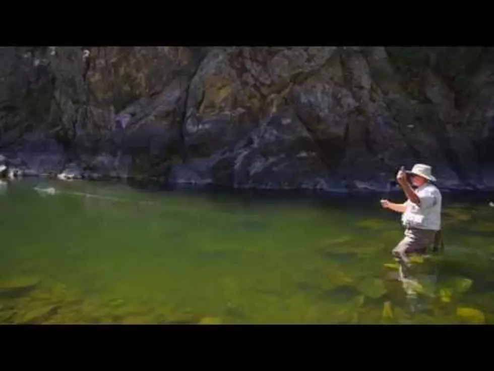 Fishing in Southwest Montana [VIDEO]
