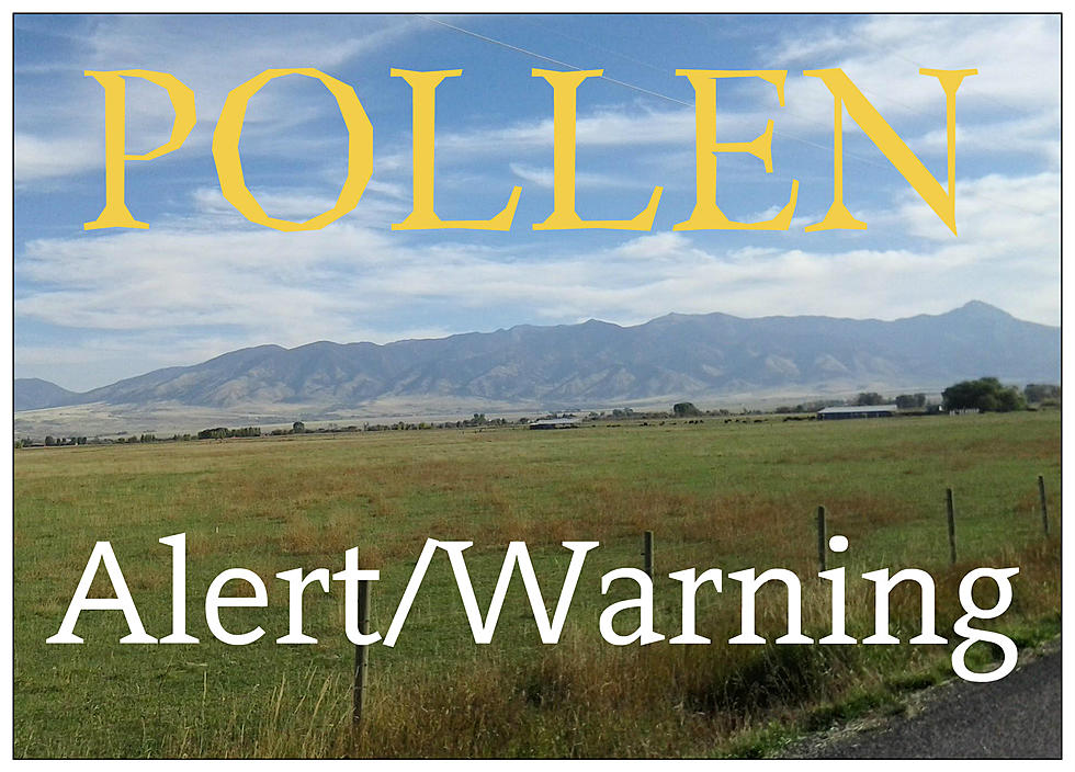 Pollen Alert Issued for Big Timber Area