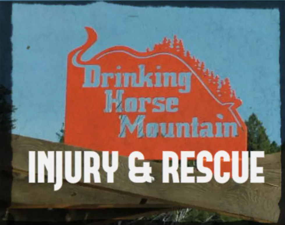 Drinking Horse Rescue