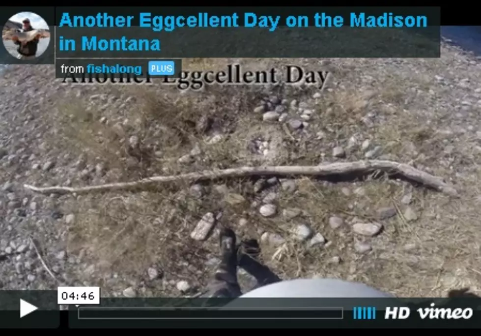 Fishing the Madison River in Spring [WATCH]