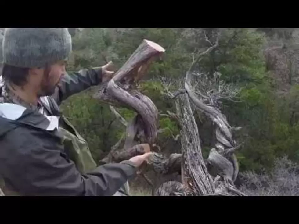 Local Juniper Art &#8211; From Field to Finished [Time Lapse]