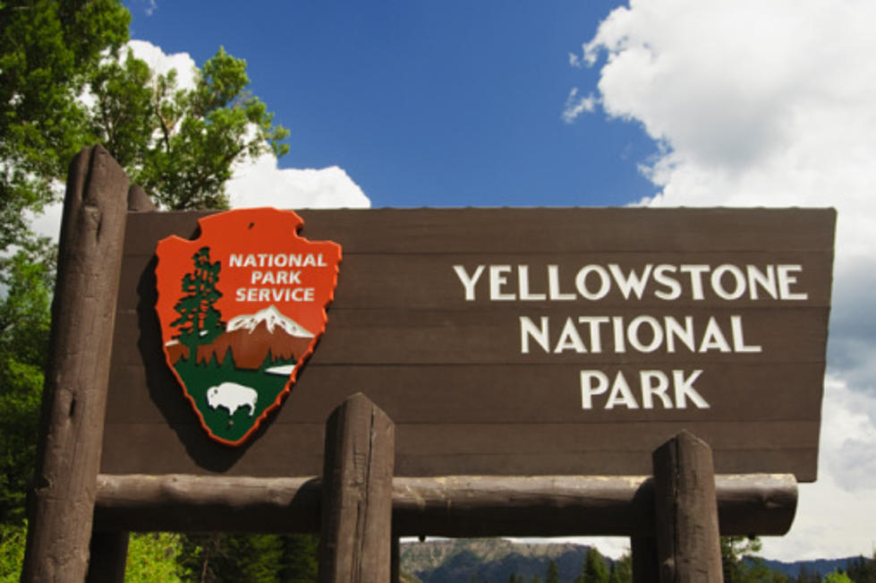 Select Roads in Yellowstone Open to Automobiles