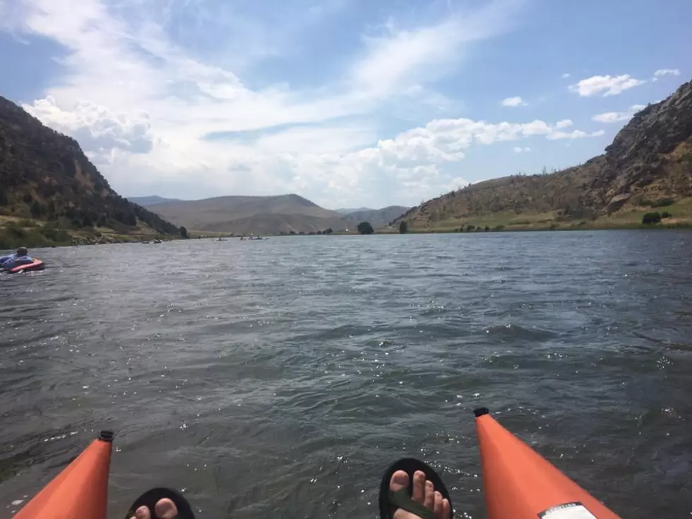 Dear Madison River, Sorry We Messed You Up: MTFWP Survey
