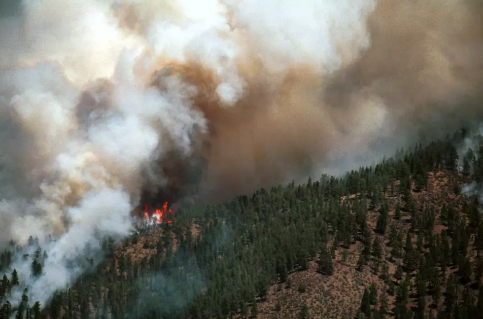 Willow Creek Wildfire, Southwest of Three Forks: 240+ Acres