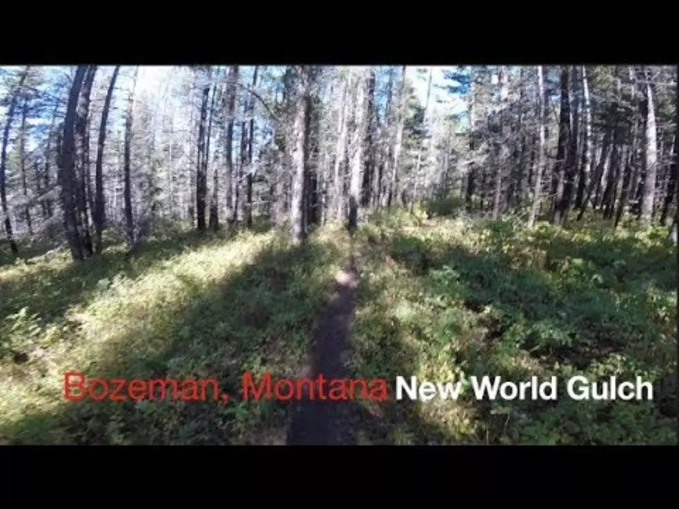 Want to See New World Gulch Before You Mountain Bike it Yourself? [WATCH]