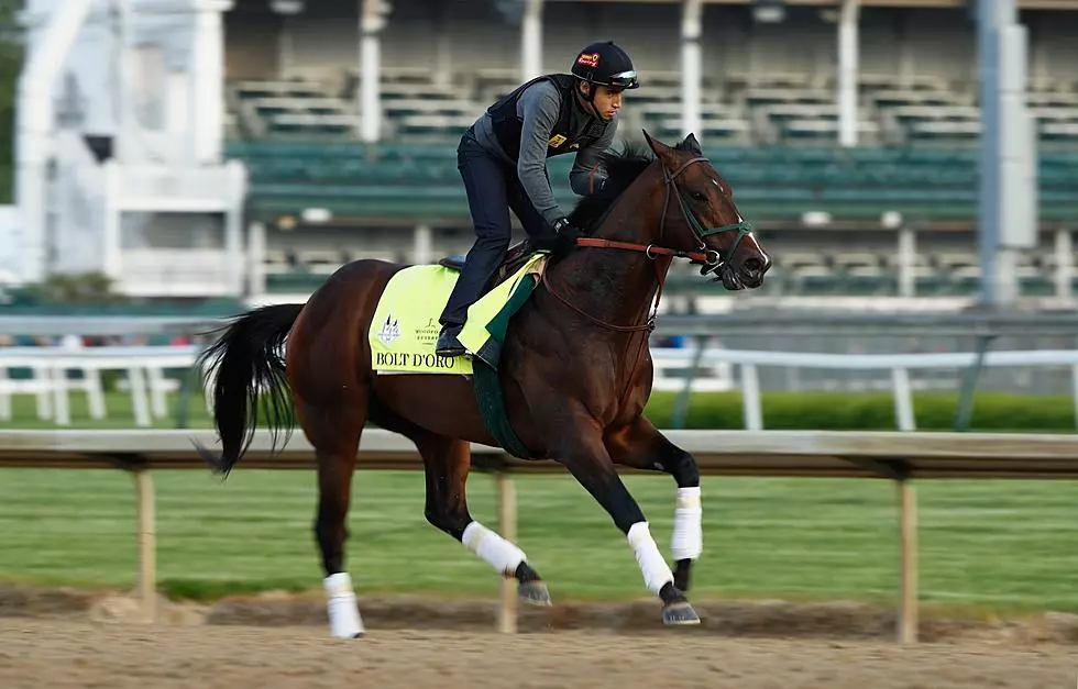 Montana-Trained Horse in Saturday's Kentucky Derby
