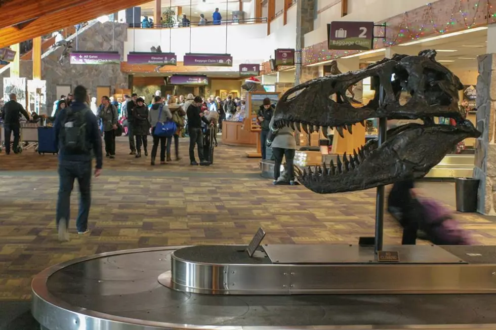 Bozeman Airport in Accelerated Design Process on 4 New Gates