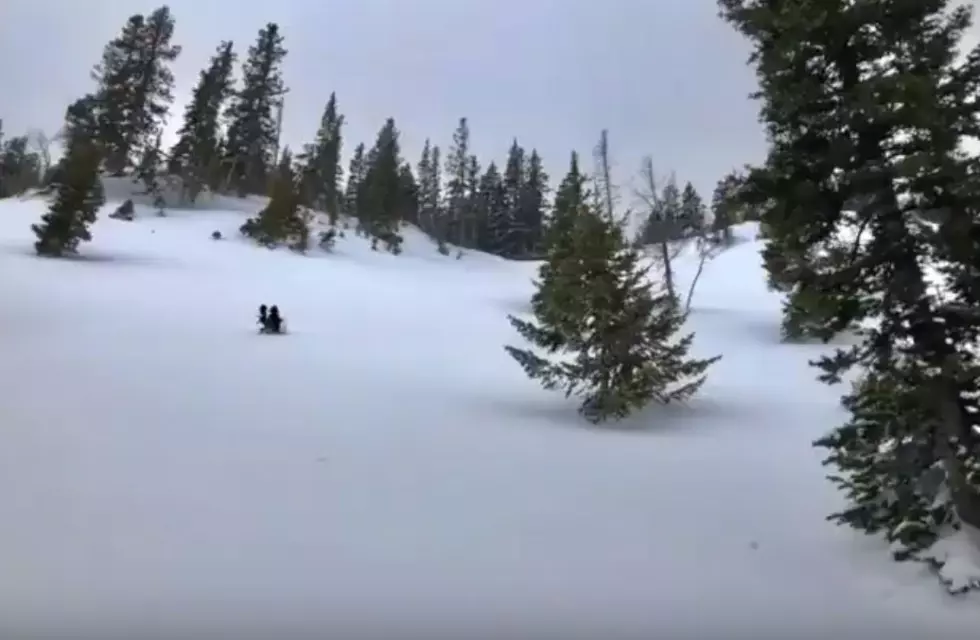 Skier Triggers Avalanche Near Fairy Lake