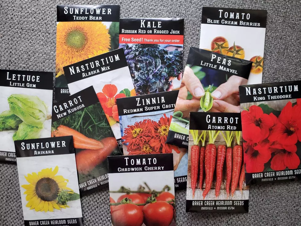 Good News: You Can Now Order Your Seeds