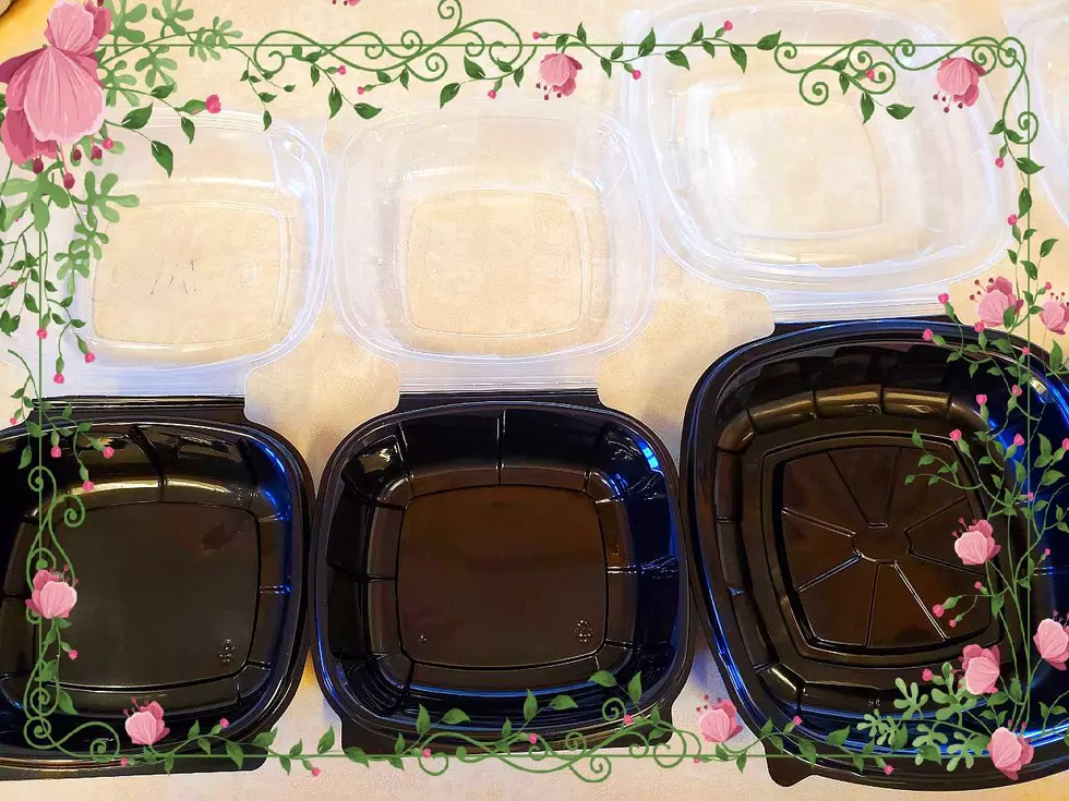Save Those Take-Out Boxes: They’re Mini Greenhouses!