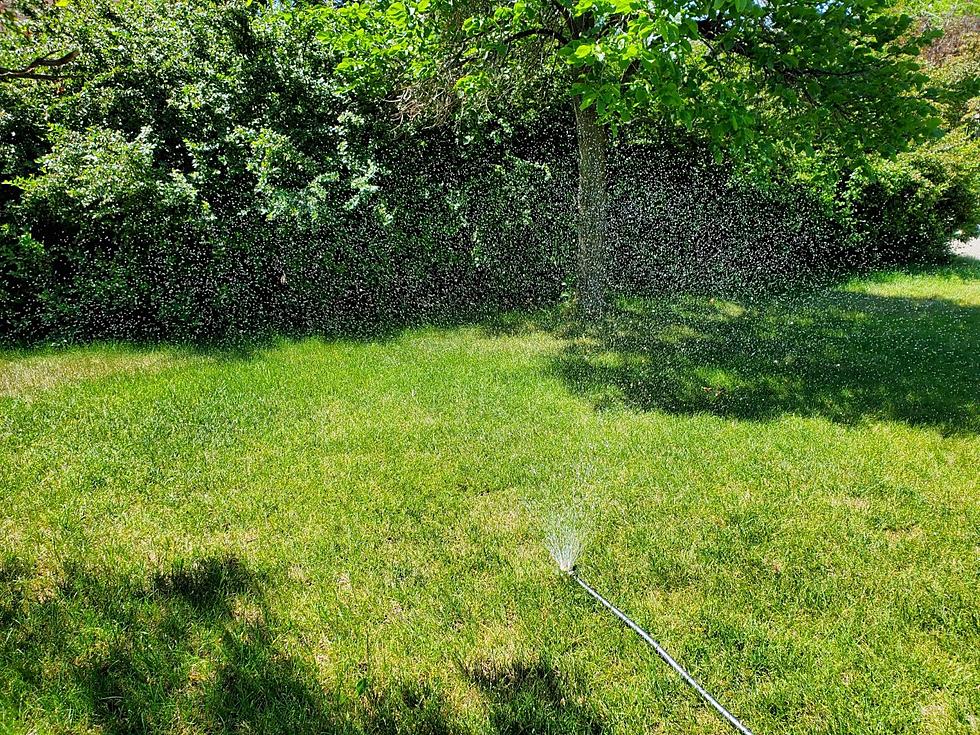 City of Bozeman Offers No Charge Sprinkler System Assessments